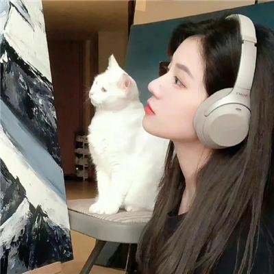 都市男女的爱情法则